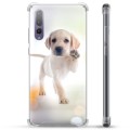 Huawei P20 Pro Hybrid Case - Hond