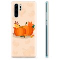 Huawei P30 Pro TPU-hoesje - Pompoenen