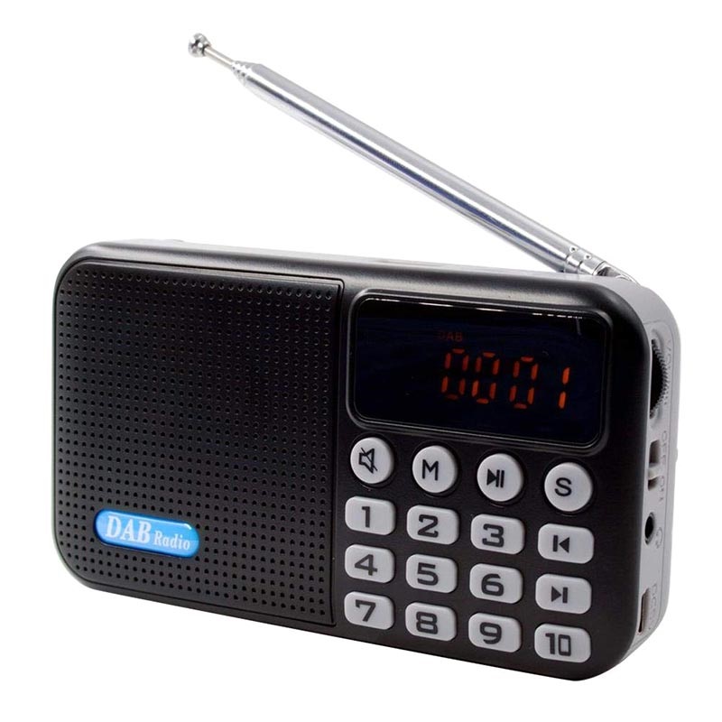 Waardeloos Getuigen erfgoed Draagbare Bluetooth DAB-radio met lcd-scherm