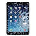 iPad Air Displayglas & Touchscreen Reparatie - Zwart